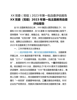 XX党委（党组）2023年第一批自查评估报告