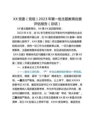 XX党委（党组）2023年第一批主题教育自查评估报告（总结）