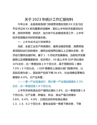 关于2023年统计工作汇报材料