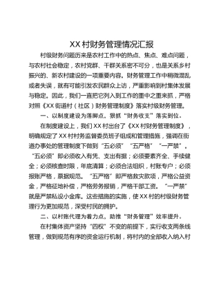 XX村财务管理情况汇报