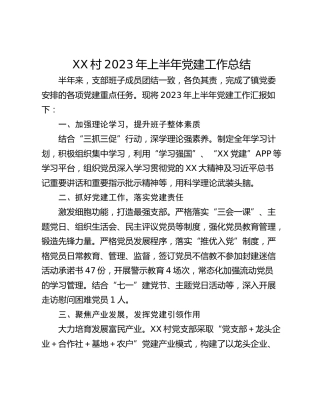 XX村2023年上半年党建工作总结