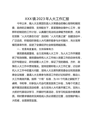 XXX镇2023年人大工作汇报