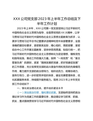 XXX公司党支部2023年上半年工作总结及下半年工作计划