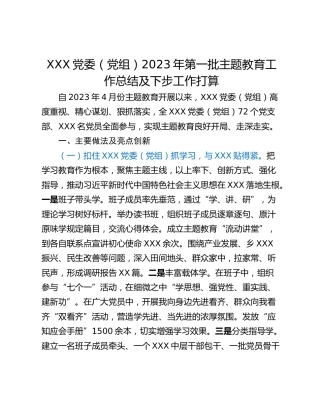 XXX党委（党组）2023年第一批主题教育工作总结及下步工作打算