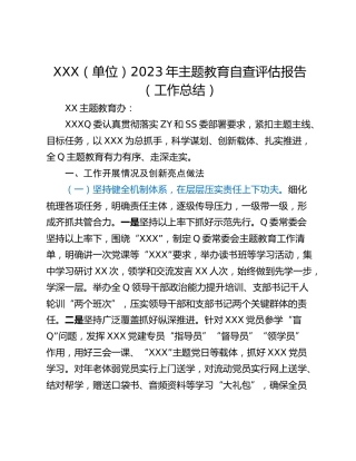 XXX（单位）2023年主题教育自查评估报告（工作总结）