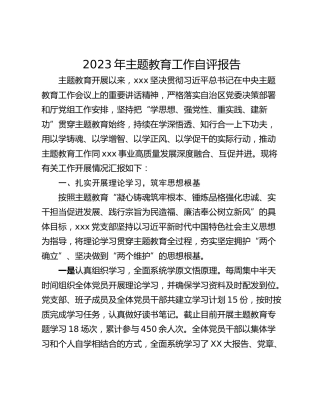 2023年主题教育工作自评报告