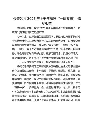 分管领导2023年上半年履行“一岗双责” 情况报告