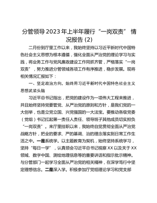 分管领导2023年上半年履行“一岗双责” 情况报告 (2)