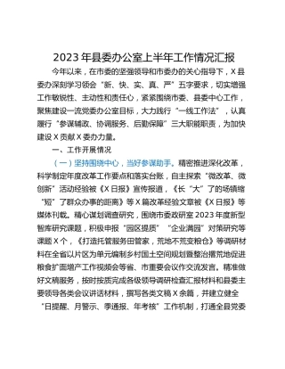 2023年县委办公室上半年工作情况汇报