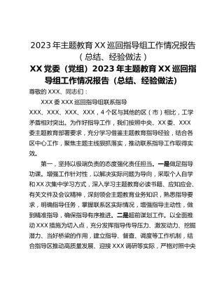 2023年主题教育XX巡回指导组工作情况报告（总结、经验做法）