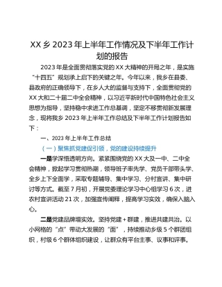 XX乡2023年上半年工作情况及下半年工作计划的报告