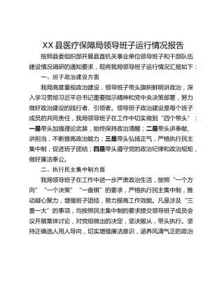 XX县医疗保障局领导班子运行情况报告