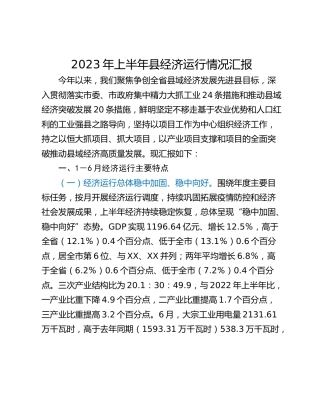 2023年上半年县经济运行情况汇报