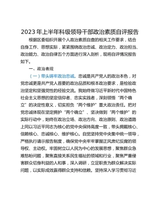 2023年上半年科级领导干部政治素质自评报告