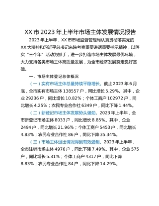 XX市2023年上半年市场主体发展情况报告