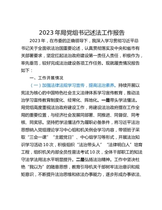 2023年局党组书记述法工作报告