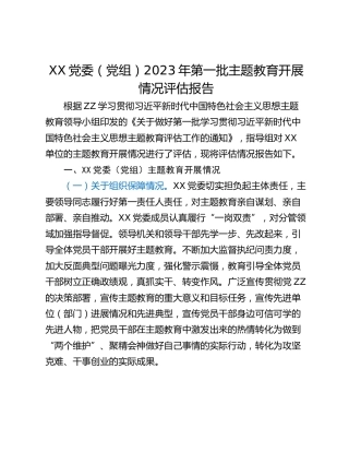 XX党委（党组）2023年第一批主题教育开展情况评估报告