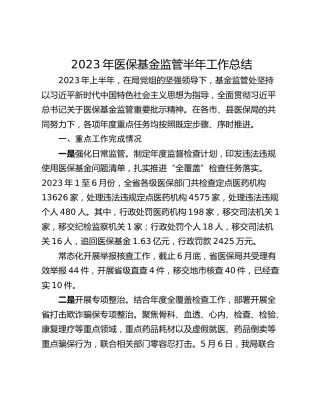 2023年医保基金监管半年工作总结