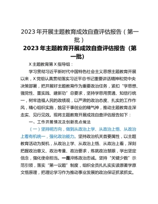 2023年开展主题教育成效自查评估报告（第一批）