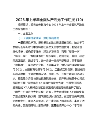 2023年上半年全面从严治党工作汇报 (10)
