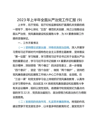 2023年上半年全面从严治党工作汇报 (9)