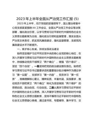 2023年上半年全面从严治党工作汇报 (5)