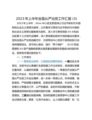2023年上半年全面从严治党工作汇报 (3)