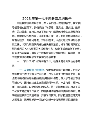 2023年第一批主题教育总结报告