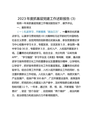2023年度抓基层党建工作述职报告 (3)