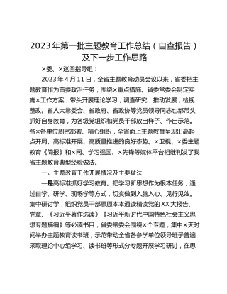 2023年第一批主题教育工作总结（自查报告）及下一步工作思路