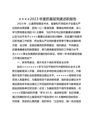 ××××2023年度抓基层党建述职报告