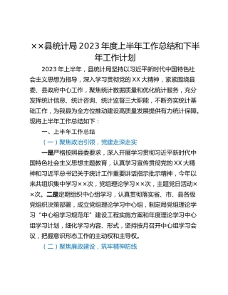 ××县统计局2023年度上半年工作总结和下半年工作计划