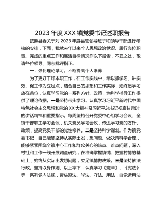 2023年度XXX镇党委书记述职报告