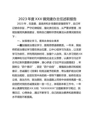 2023年度XXX镇党建办主任述职报告