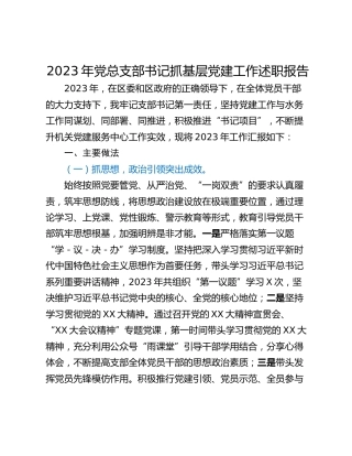 2023年党总支部书记抓基层党建工作述职报告