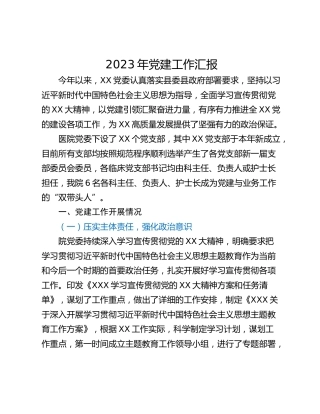 2023年党建工作汇报