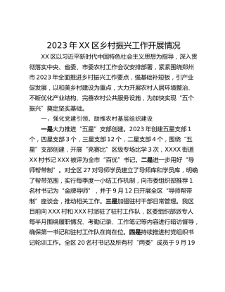 2023年XX区乡村振兴工作开展情况