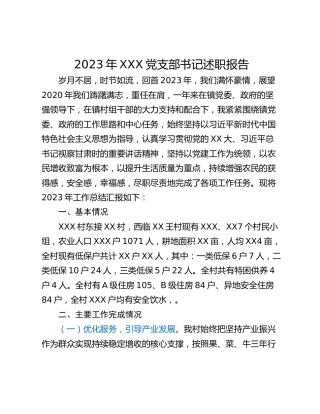 2023年XXX党支部书记述职报告