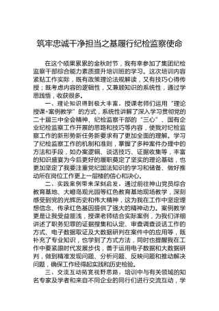 筑牢忠诚干净担当之基履行纪检监察使命