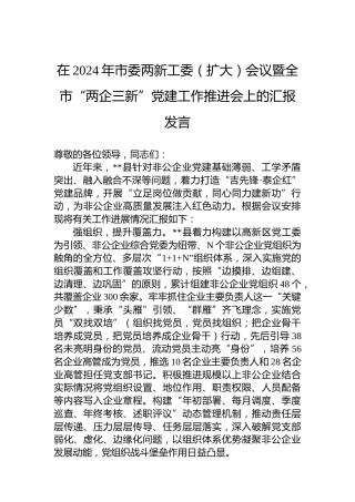 在2024年市委两新工委（扩大）会议暨全市“两企三新”党建工作推进会上的汇报发言