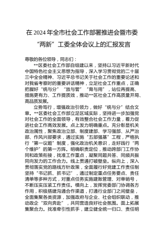 在2024年全市社会工作部署推进会暨市委“两新”工委全体会议上的汇报发言