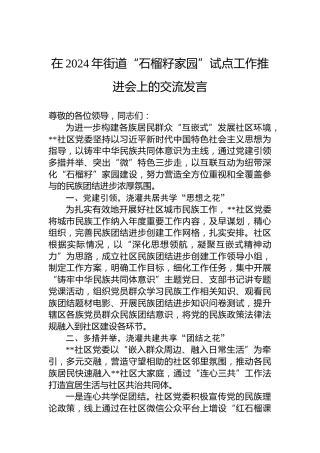 在2024年街道“石榴籽家园”试点工作推进会上的交流发言