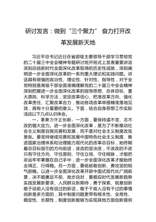 研讨发言：做到“三个聚力”奋力打开改革发展新天地