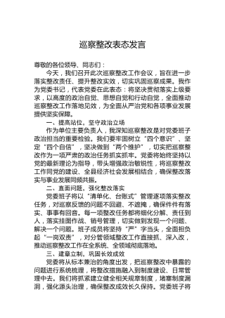 巡察整改表态发言