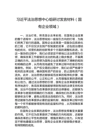 习近平法治思想中心组研讨发言材料（国有企业领域）