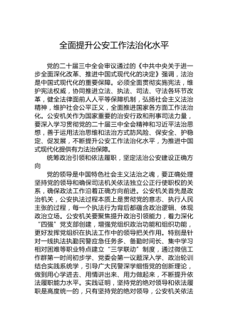 全面提升公安工作法治化水平