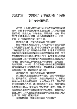 交流发言：“党建红”引领前行路“民族彩”绽放团结花