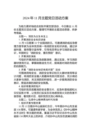 2024年11月主题党日活动方案