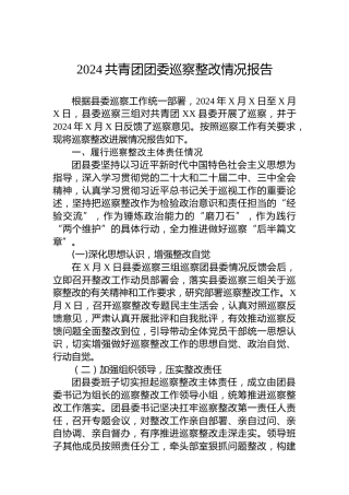 2024共青团团委巡察整改情况报告