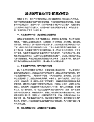 浅谈国有企业审计的三点体会
